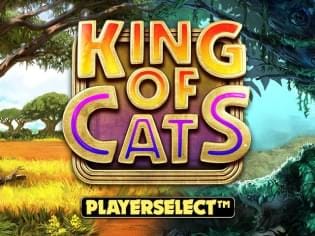 King of Cats Megaways screenshot